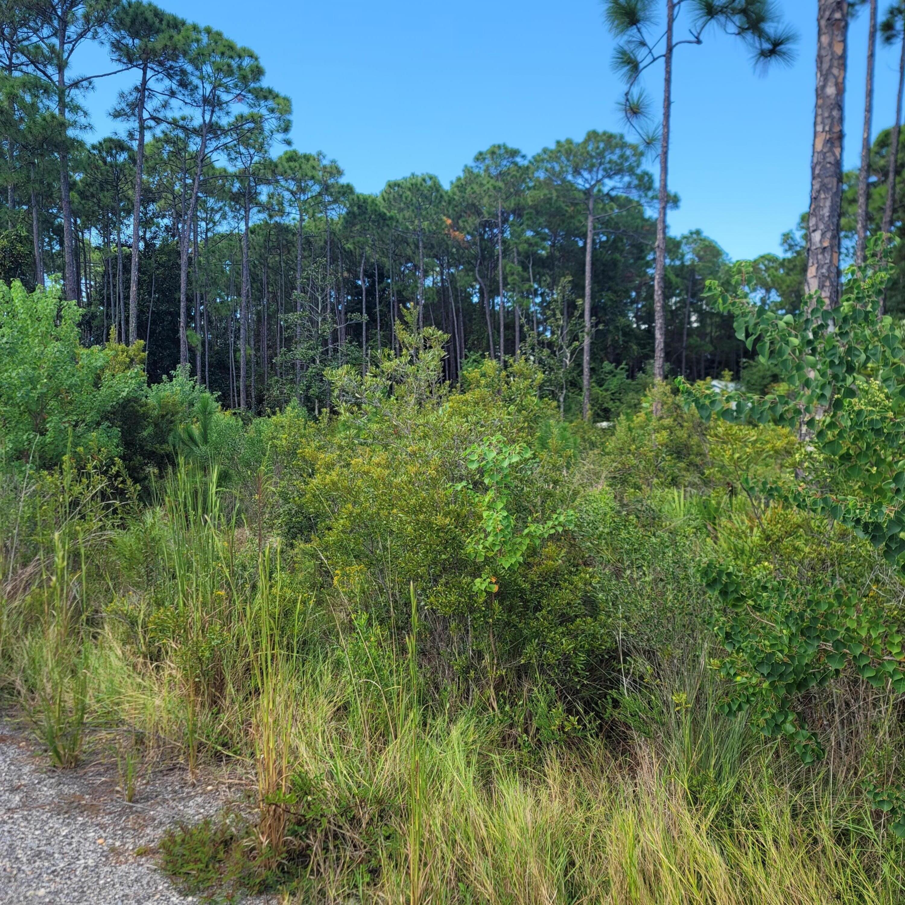 SHELTER COVE ESTATES - Land
