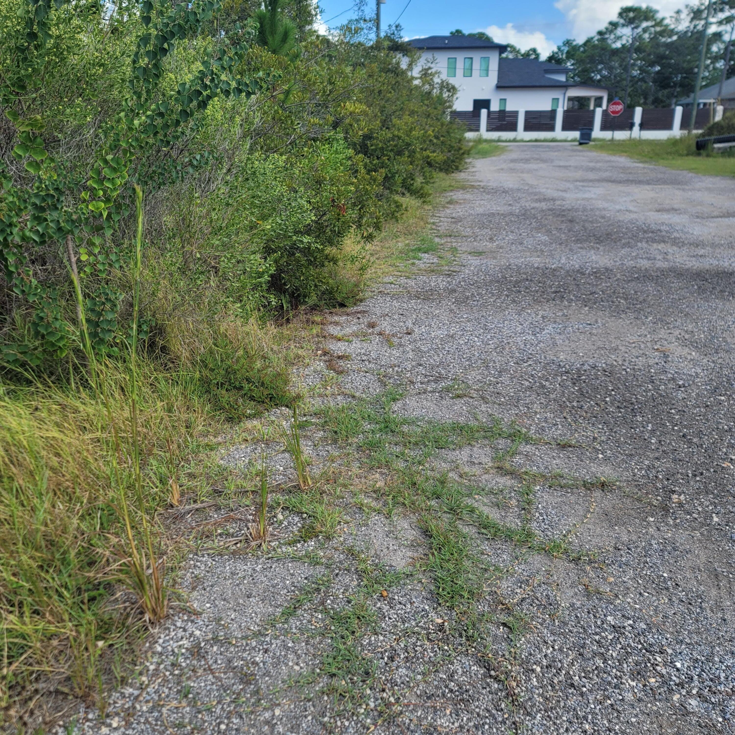 SHELTER COVE ESTATES - Land