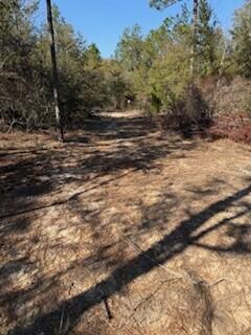 Build your future in the growing DeFuniak Springs market! These two cleared and buildable residential lots are ready for development, offering an excellent opportunity for builders, investors, or anyone looking to build a custom home. The lots are already cleared, saving time and money as you begin construction. Located in a rapidly expanding area of Walton County, you'll enjoy peaceful surroundings while still being conveniently close to shopping, dining and everyday amenities. Just a short drive to the beautiful beaches of the Emerald Coast, this location offers both quiet living and easy access to coastal attractions. Buy one or both lots and secure your spot in one of Northwest Florida's fastest-growing areas. Perfect opportunity to build now or invest for the future.