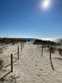 CARILLON BEACH - Residential