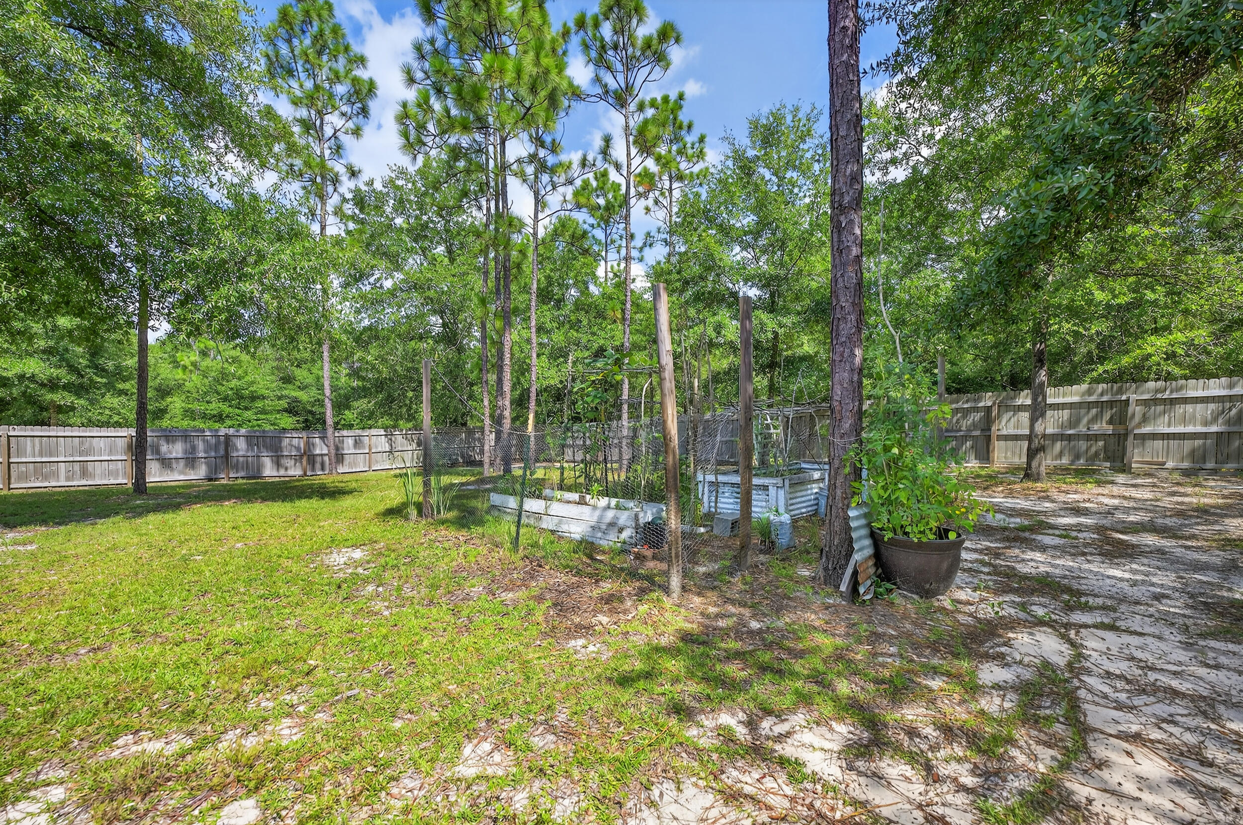 MAJESTIC OAKS VINEYARD - Residential