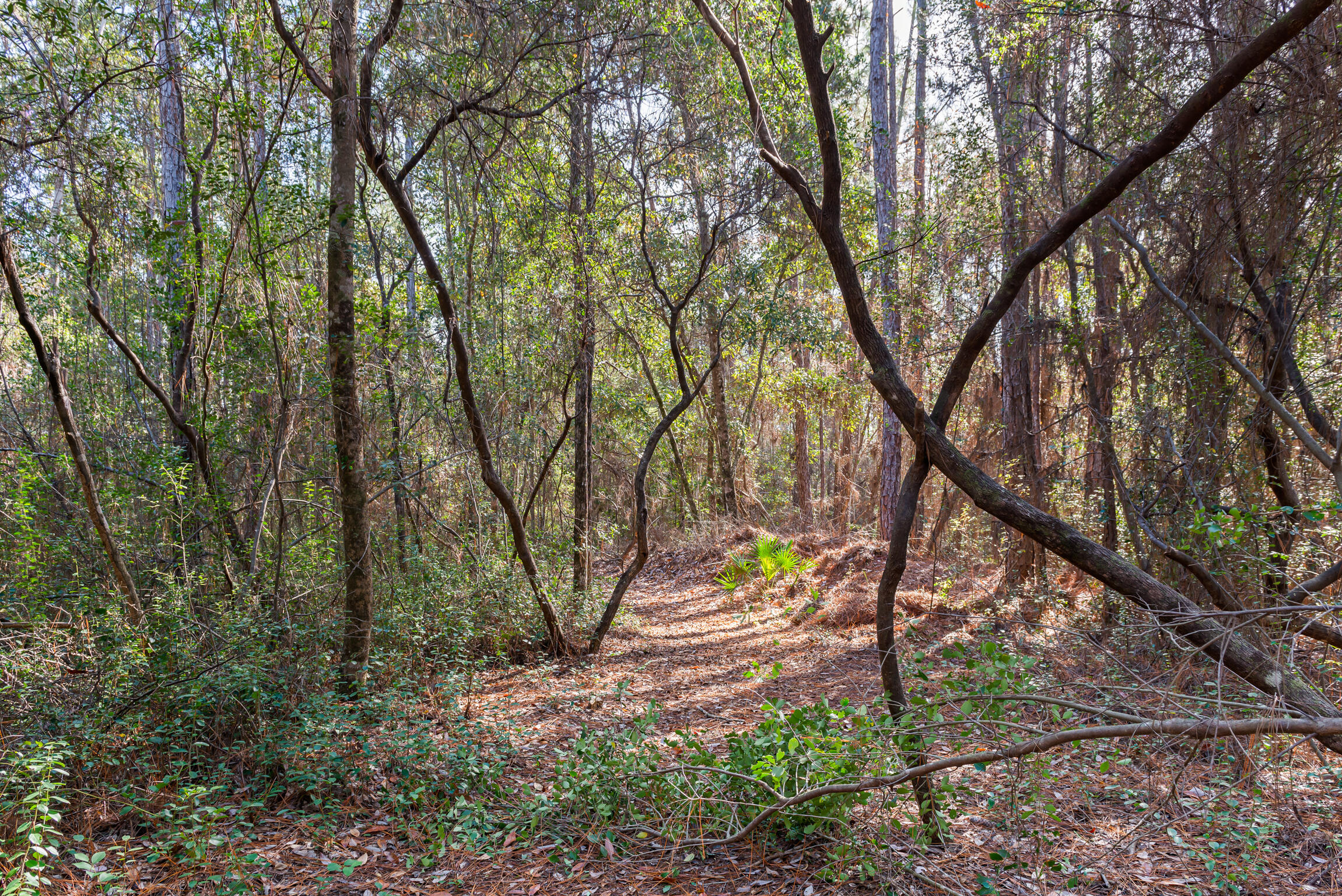 HOLLEY BY THE SEA, 2ND CORR. & AMMEN. - Residential