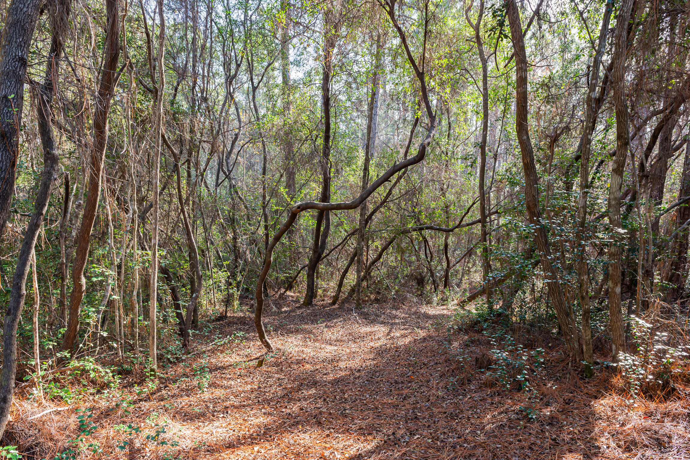 HOLLEY BY THE SEA, 2ND CORR. & AMMEN. - Residential