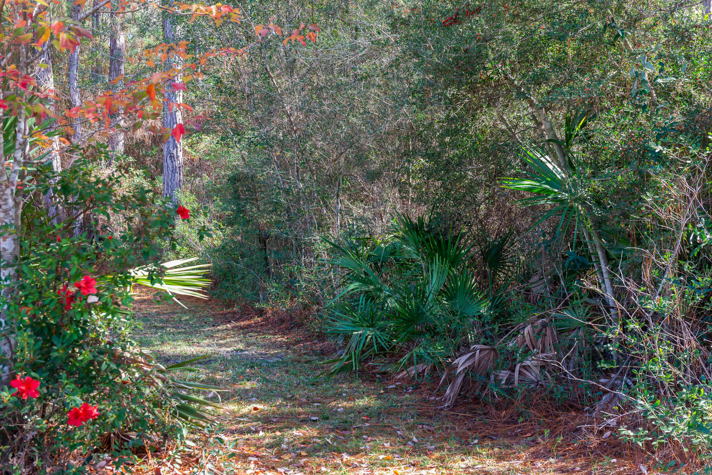 HOLLEY BY THE SEA, 2ND CORR. & AMMEN. - Residential