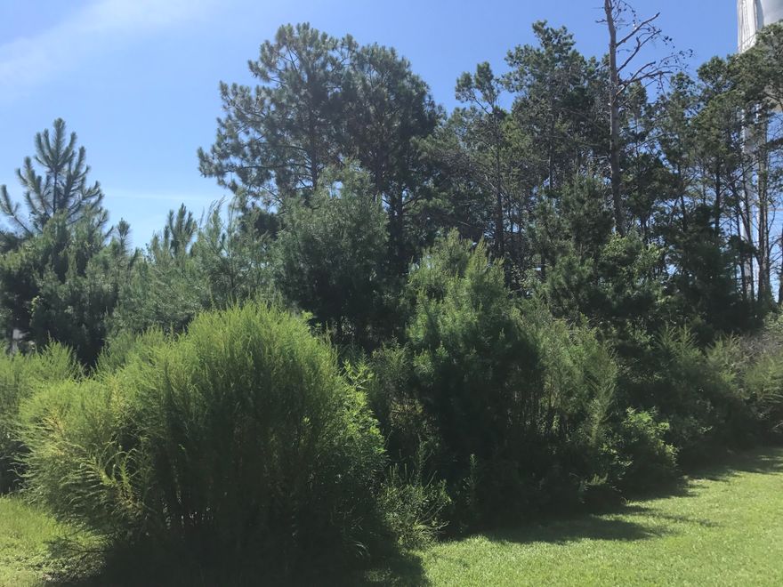 These lots are getting harder and harder to find in the Cypress Breeze Plantation neighborhood! Interior high and dry lot not far from the 13,000 sqft community pool. Ride your bicycle to the beach and all the shops, resturaunts in Gulf Place from this ideal location just off of 30A. Tap fee's are already paid. Make Offer!