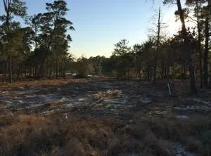 Panama City Beach, Florida 32413, United States, ,Land,Active,30807