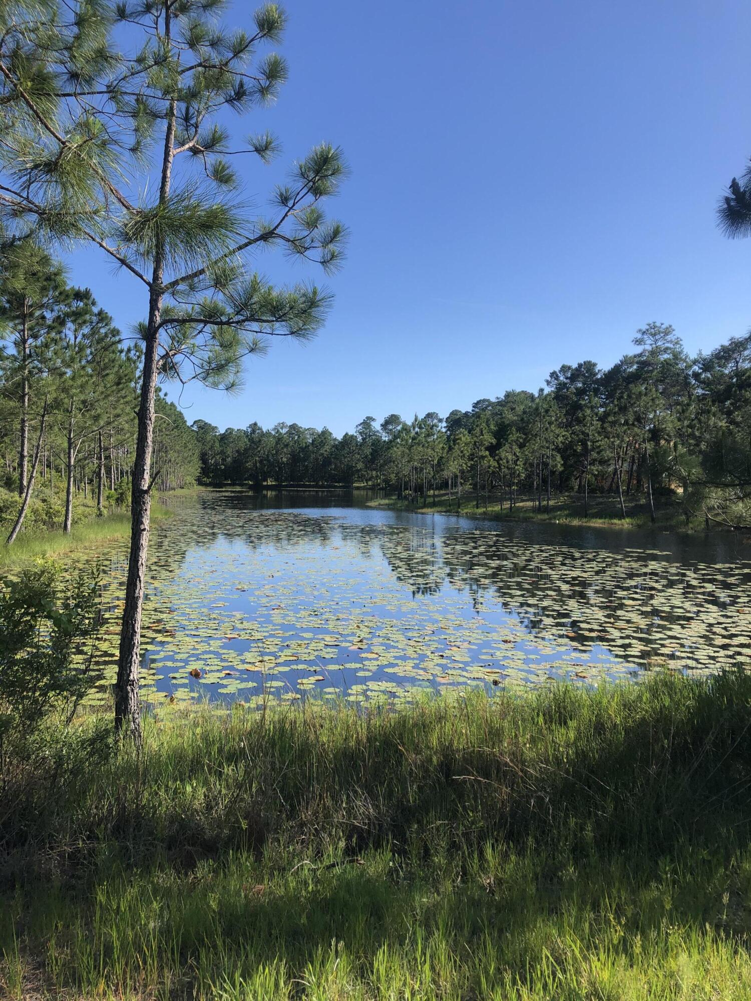 Single Family Residence home site located with a small pond on the rear of the Lot with 72 feet of waterfront. Walking distance to Shark's Tooth Golf Clubhouse within the Wild Heron development.