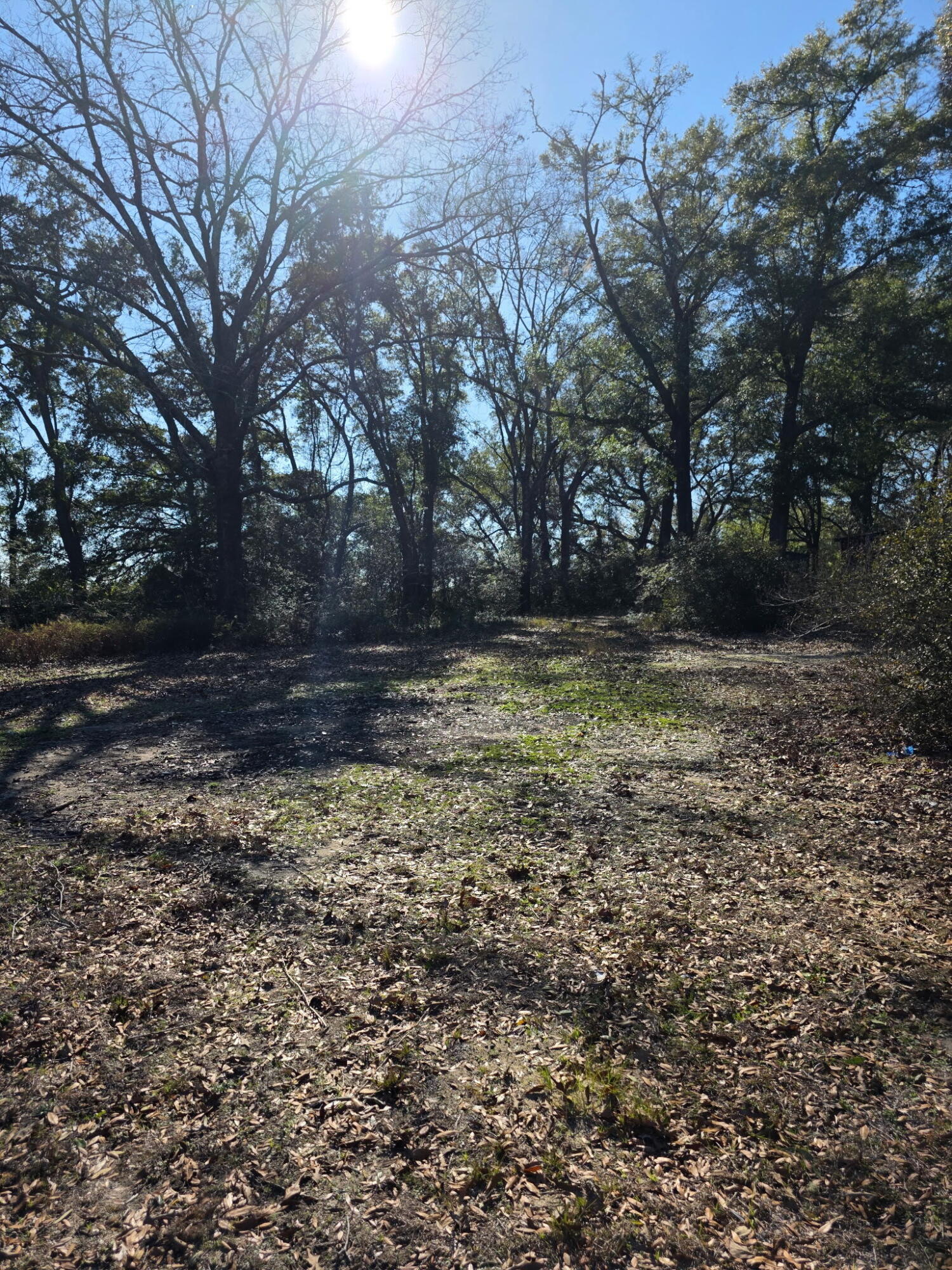 CAEEYVILLE - Residential