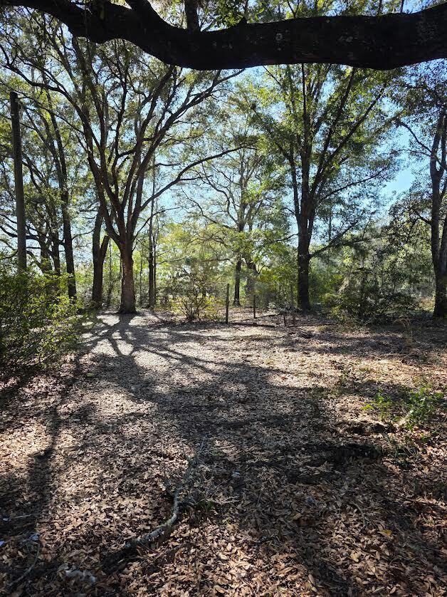 CAEEYVILLE - Residential