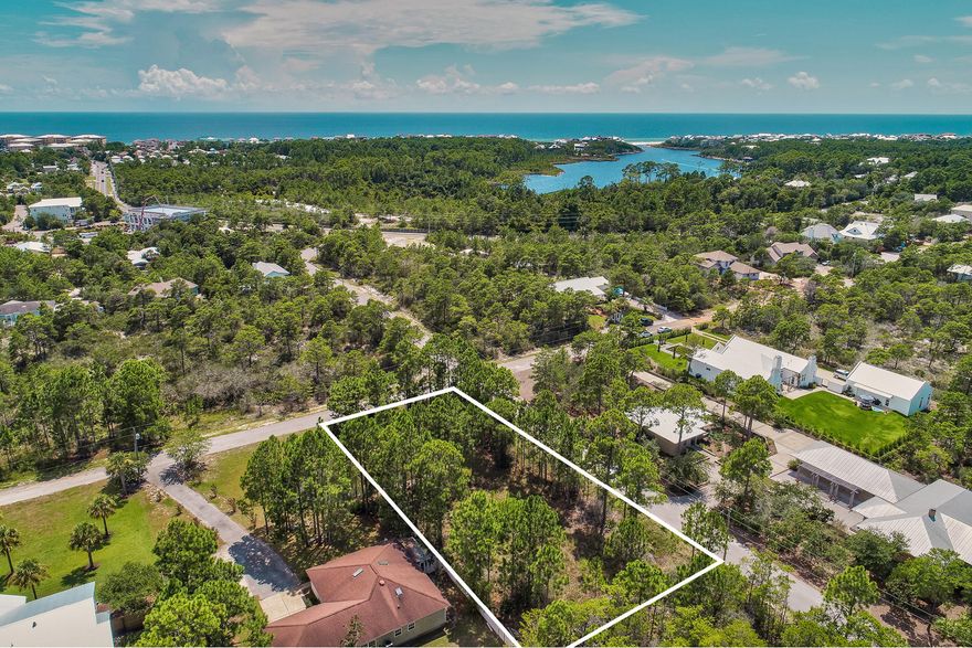 This &#8203;half acre corner lot sits in the quiet, established neighborhood of Pines of Blue Mountain. Plenty of room for a house, guest house and pool! The Hwy 30A neighborhood has access to the trails of Point Washington State Forest and is conveniently situated between Gulf Place and the Cafes and Shops at Redfish Village. No build out time&#8203; makes it even more desirable. &#8203; Several beach accesses are within minutes, including two with full facilities, and the 18 mile jogging/bike path that runs along 30A is just a distance away.