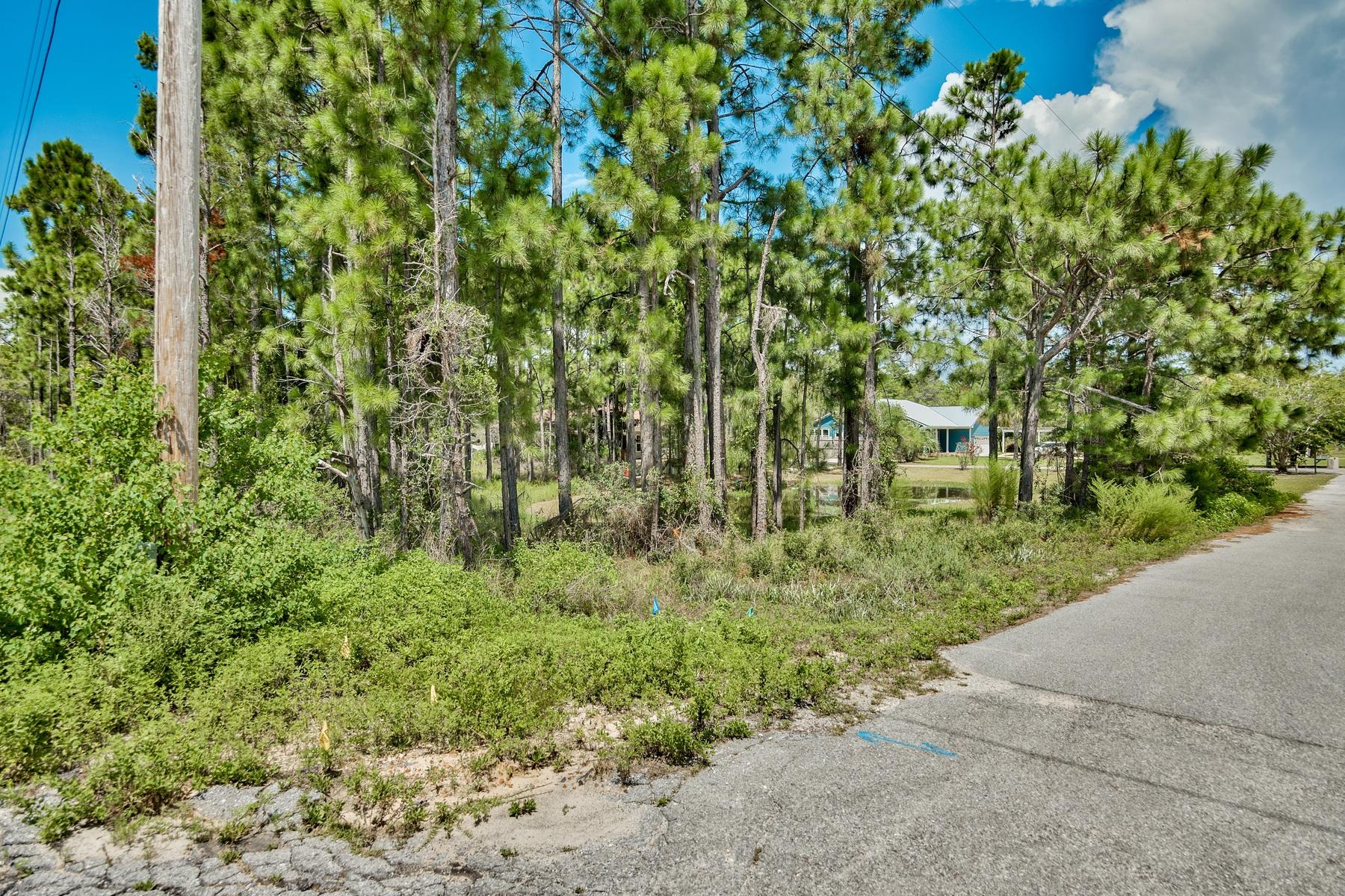 PINES OF BLUE MOUNTAIN - Land