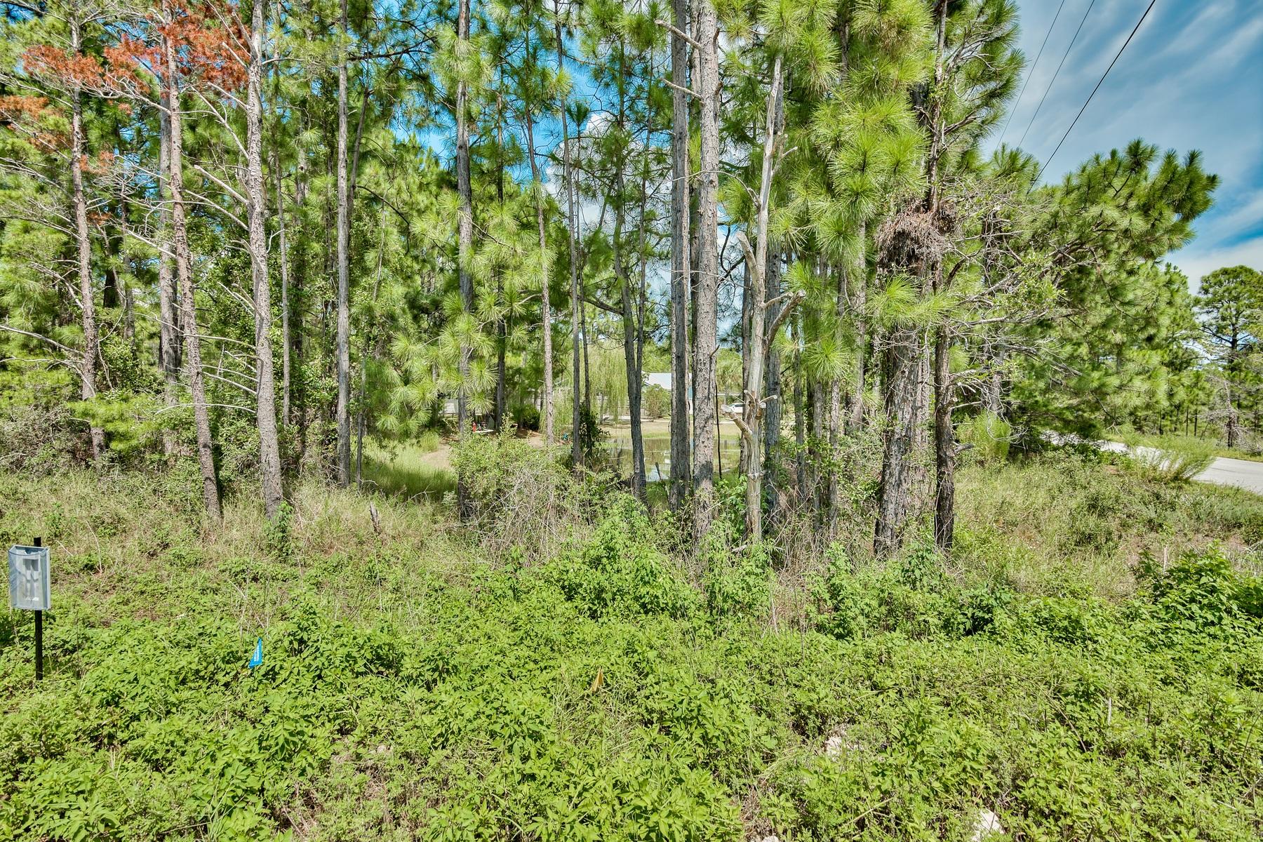 PINES OF BLUE MOUNTAIN - Land