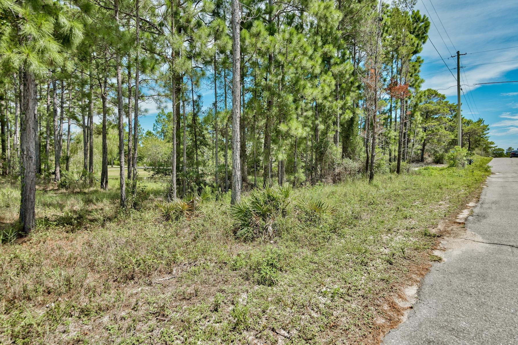 PINES OF BLUE MOUNTAIN - Land