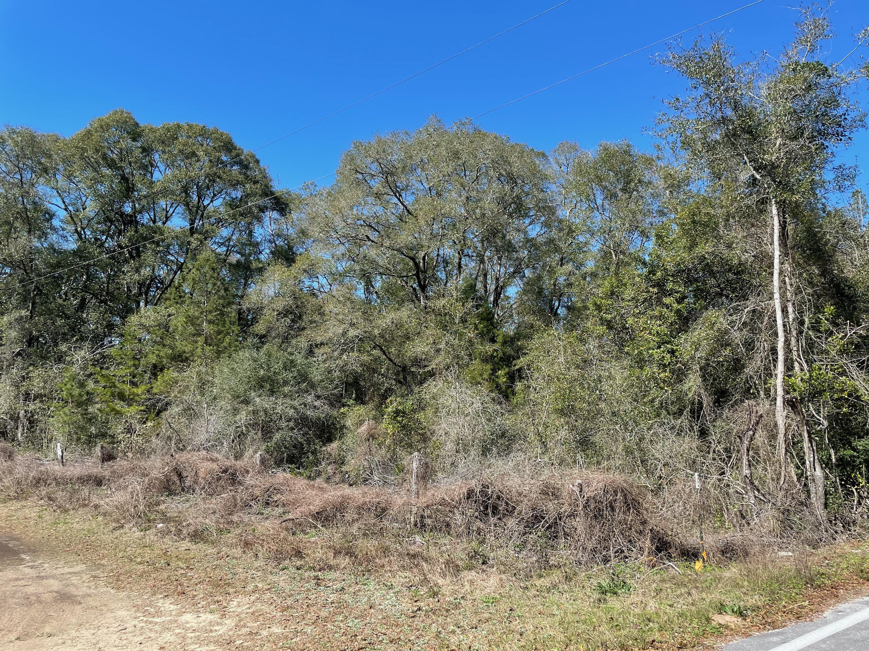 Over an acre of vacant, wooded commercial that is a blank slate and ready for you to build your business on. As Freeport builds out, this will be an up and coming area! Great investment opportunity! Survey is available!