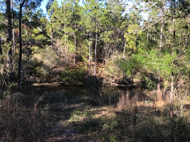 Beautiful lot on the canal in Point Washington. Sits high and dry, filled with oak, pine and native vegetation. Large enough for your dream home, carriage house and pool. Keep your boat on the canal in back and enjoy a ride to the bay! Don't miss out on this fabulous location! Away from the congestion but still close to everything! Easy access to the Bay, shopping and beaches!