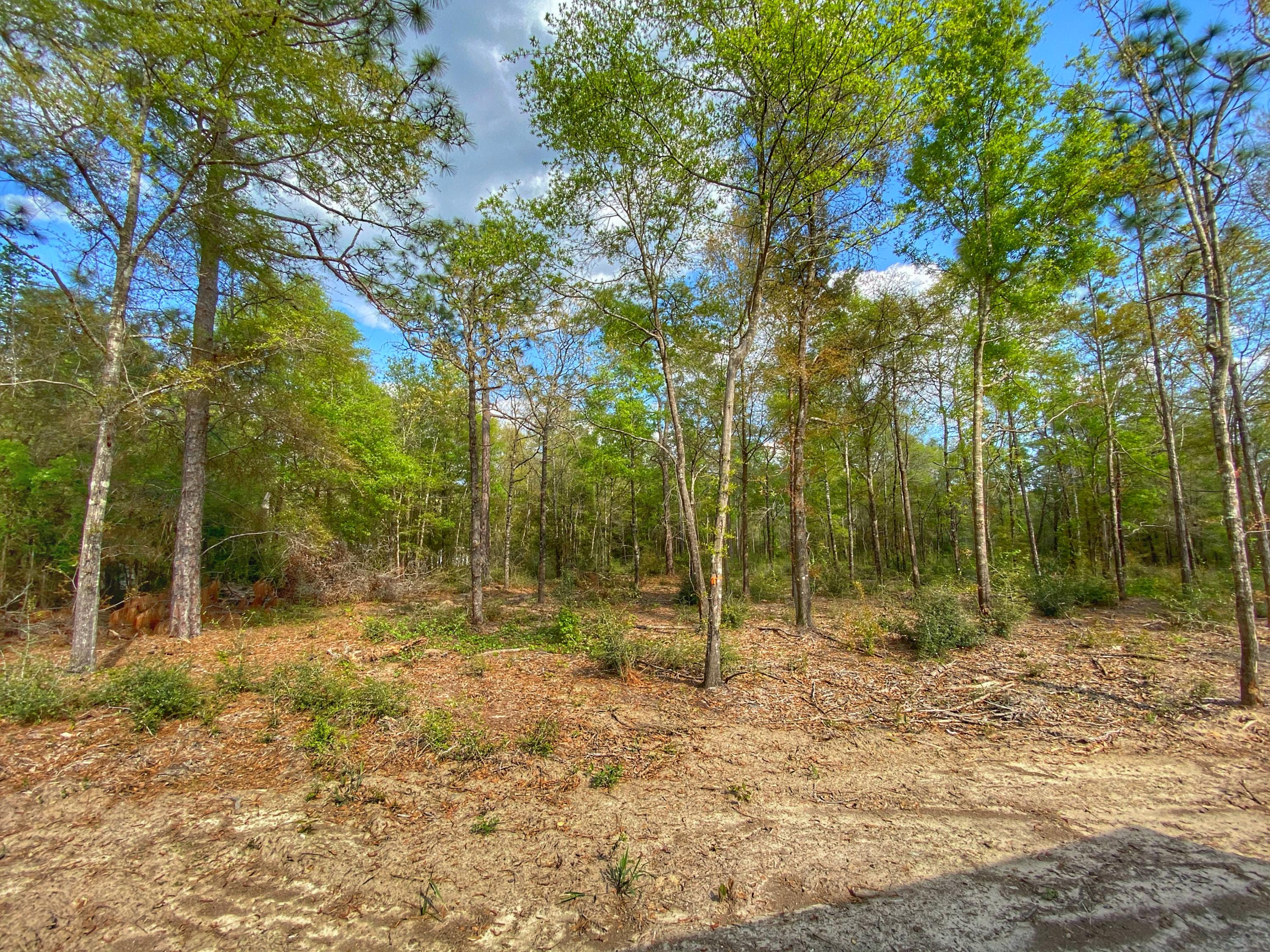 NONESUCH WAY - Residential