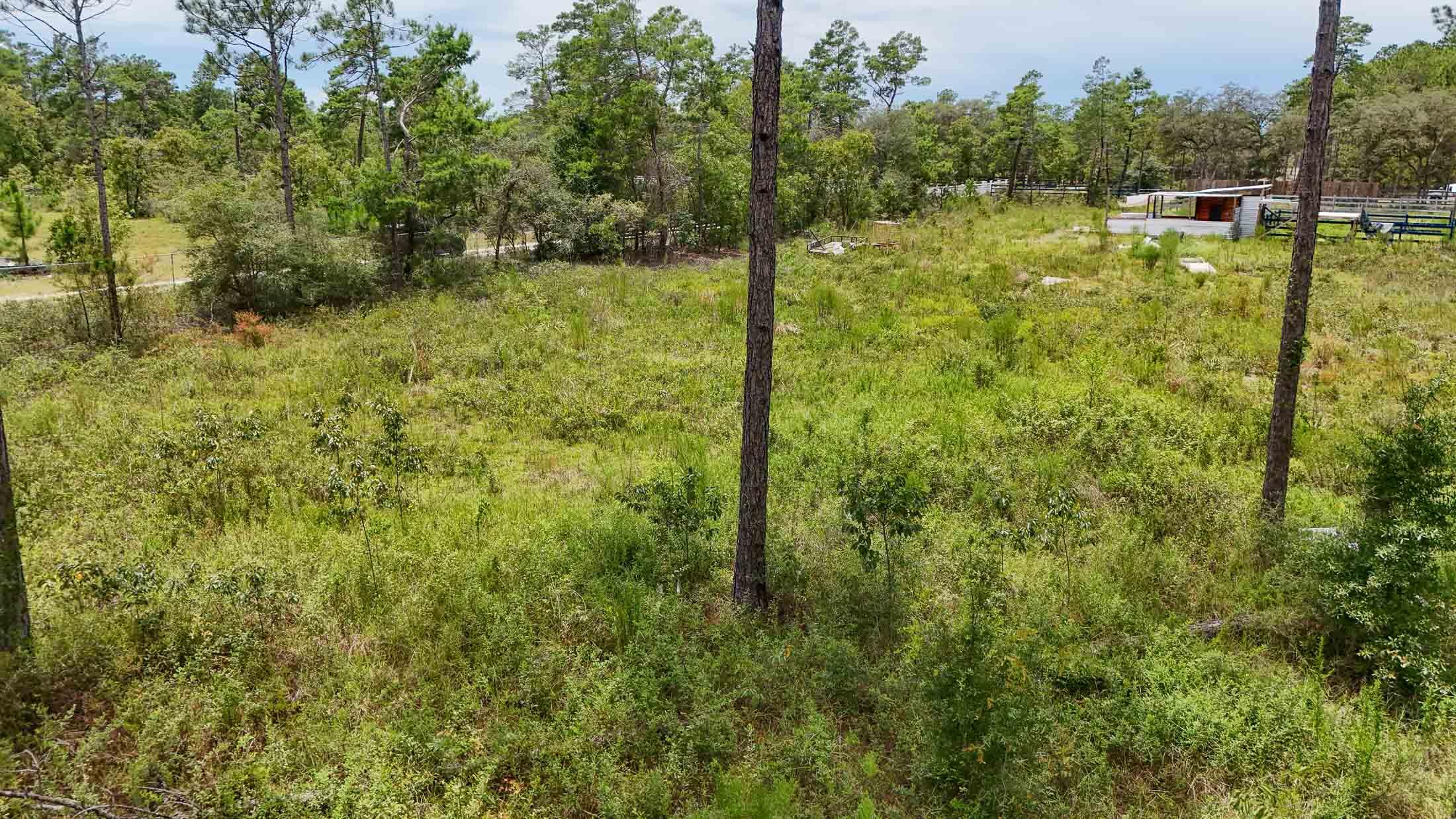 WHITE PINES UNREC - Land