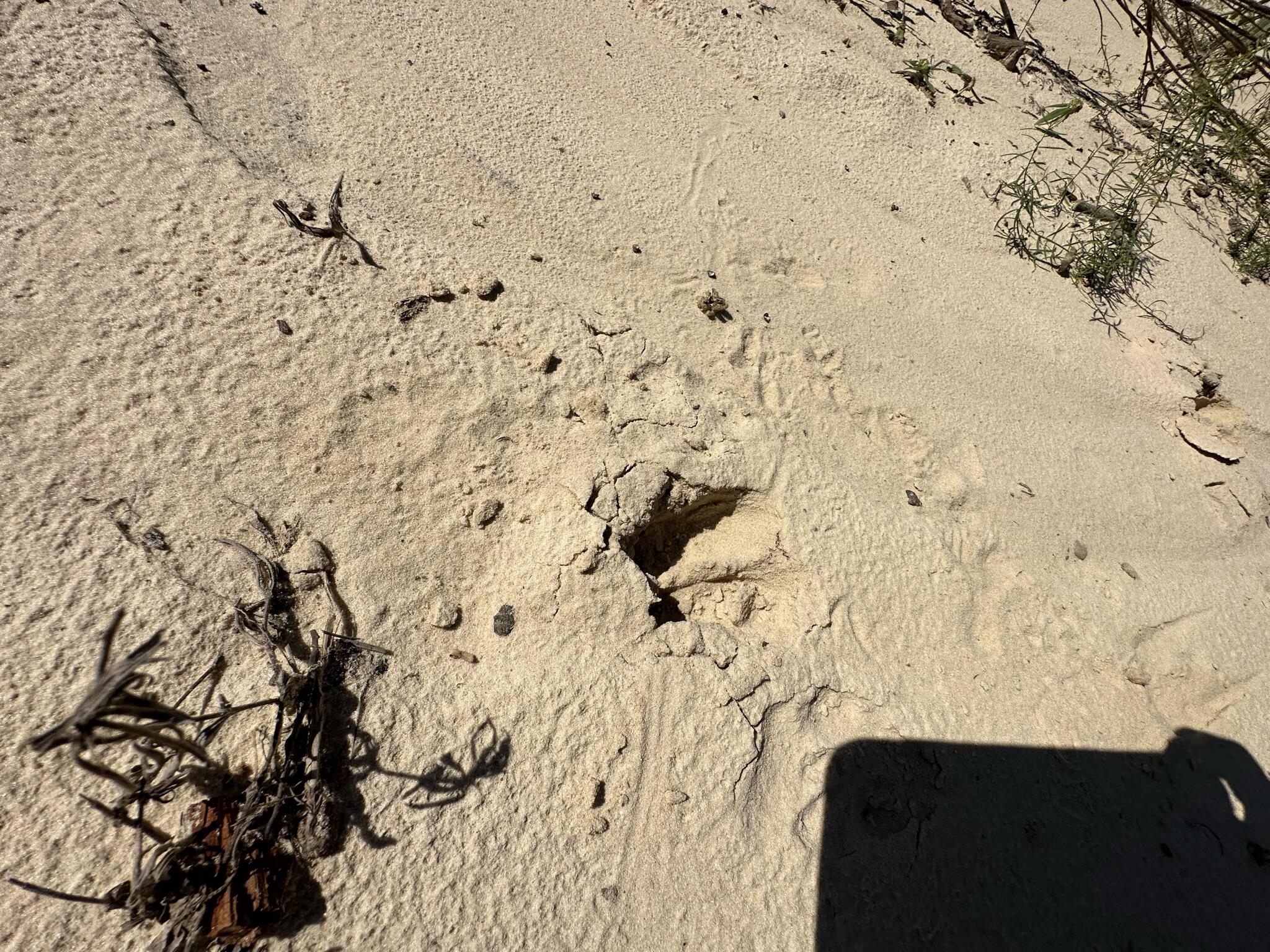 NO RECORDED SUBDIVISION - Farm