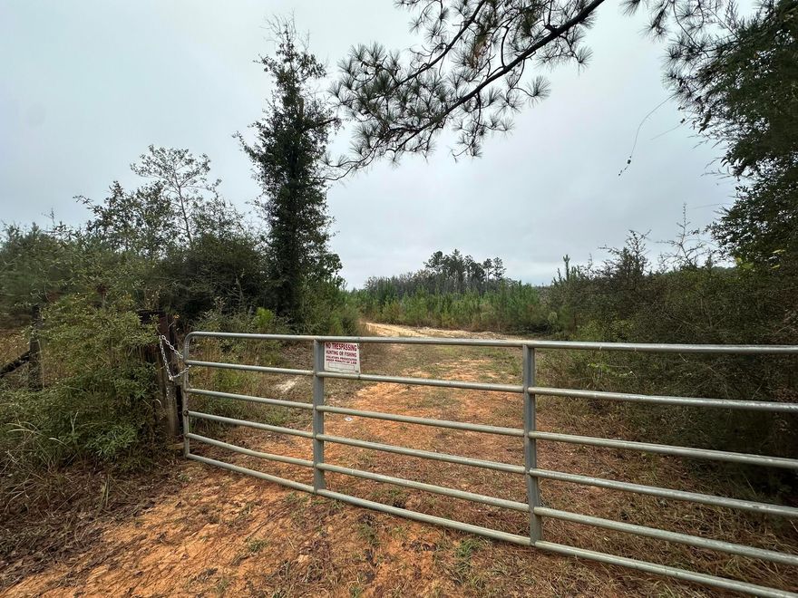 Laurel Hill Land for Living or Leisure! Discover 17.89 +/- acres of versatile land tucked off Hwy 85 in rural Laurel Hill. With Agricultural zoning, this property invites your vision--whether it's a barndominium, hobby farm, or quiet timber getaway. The land offers a balance of open areas and wooded privacy, ideal for those seeking space to breathe and room to grow. Accessed via Millside Road, where paving upgrades are underway, and framed by nature's soundtrack--from whip-poor-wills at dusk to star-filled skies. Parcel D borders Parcel E, a 10.06 +/- acre tract also available, offering the rare chance to own up to 28 acres. Shown by appointment only--currently under a hunting lease through July 31, 2025.