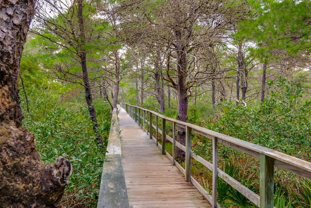 THE PRESERVE AT GRAYTON BEACH - Residential