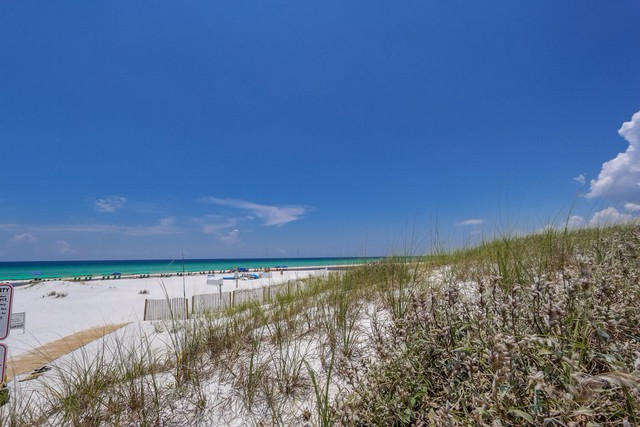 THE PRESERVE AT GRAYTON BEACH - Residential
