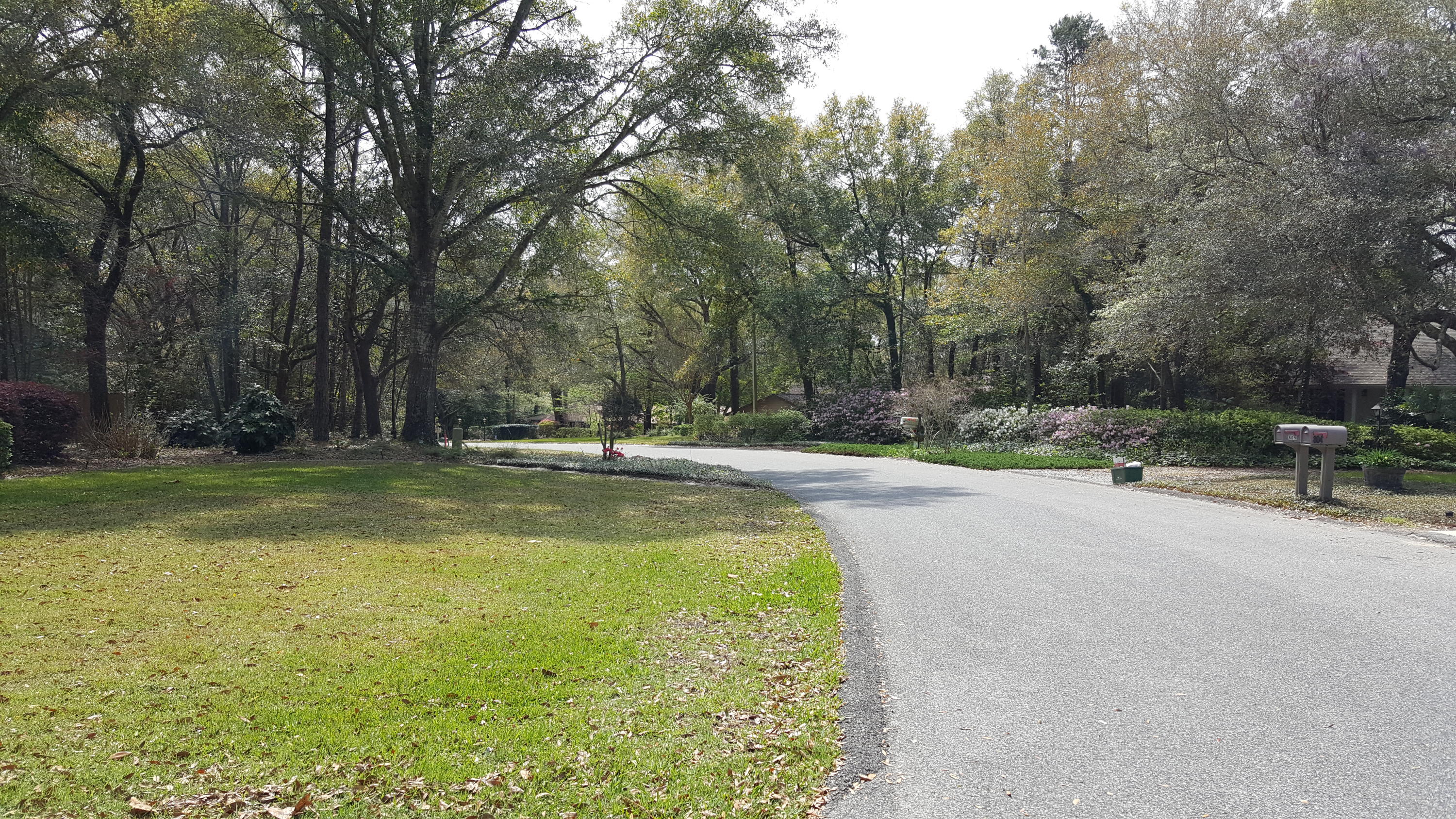 LE CHATEAU - Residential