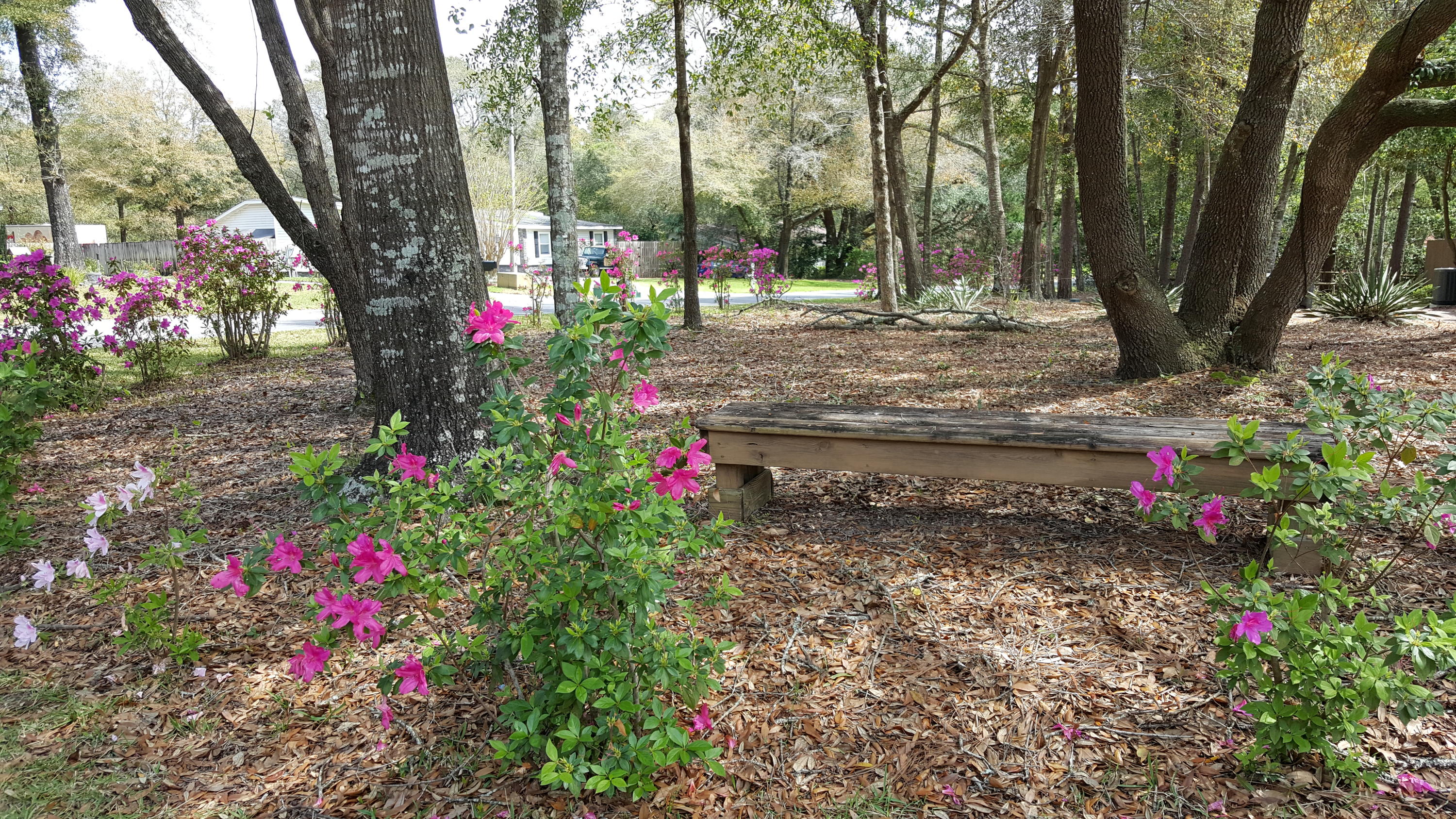 LE CHATEAU - Residential