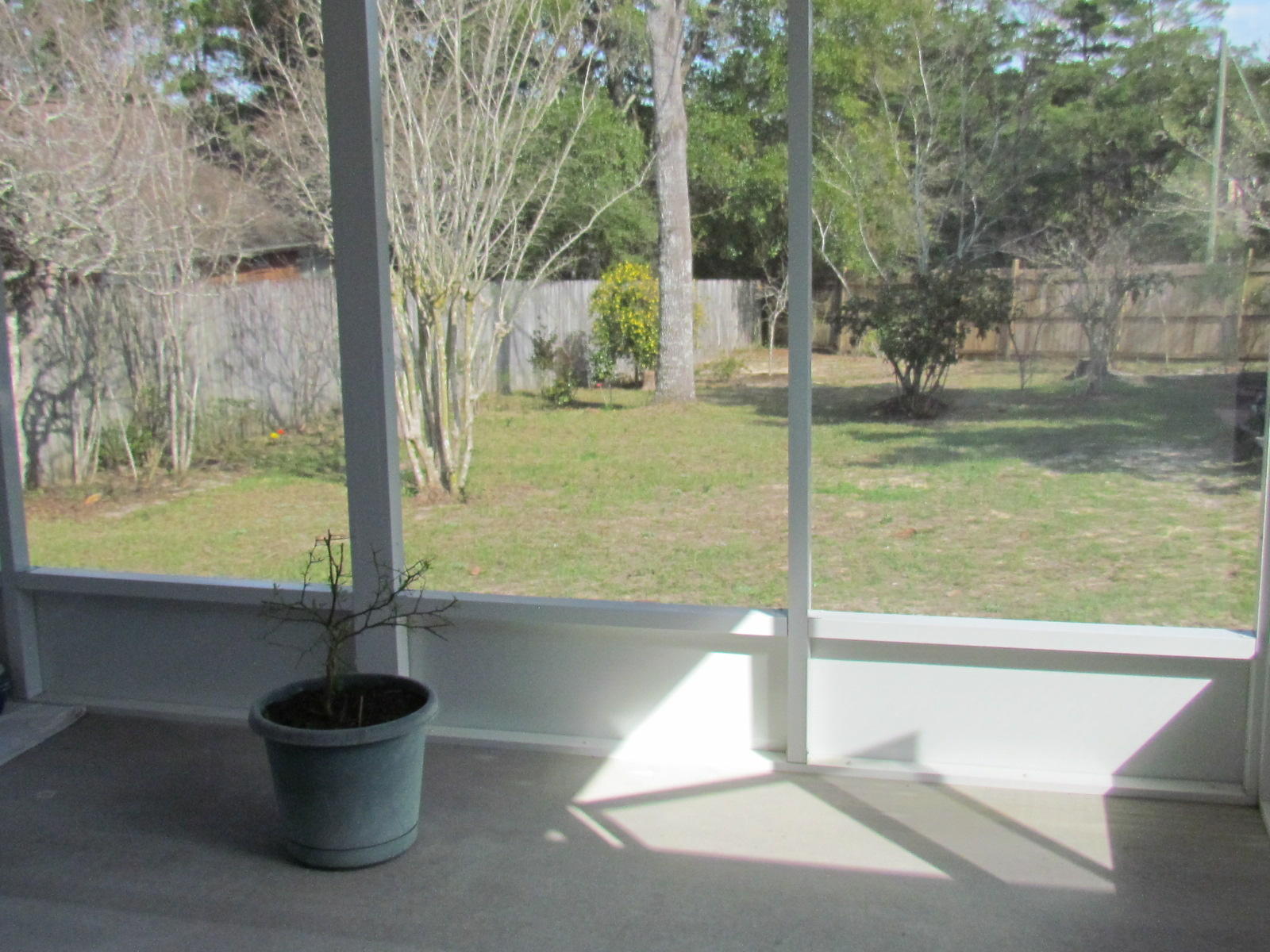 COLLEGE OAKS - Residential Lease