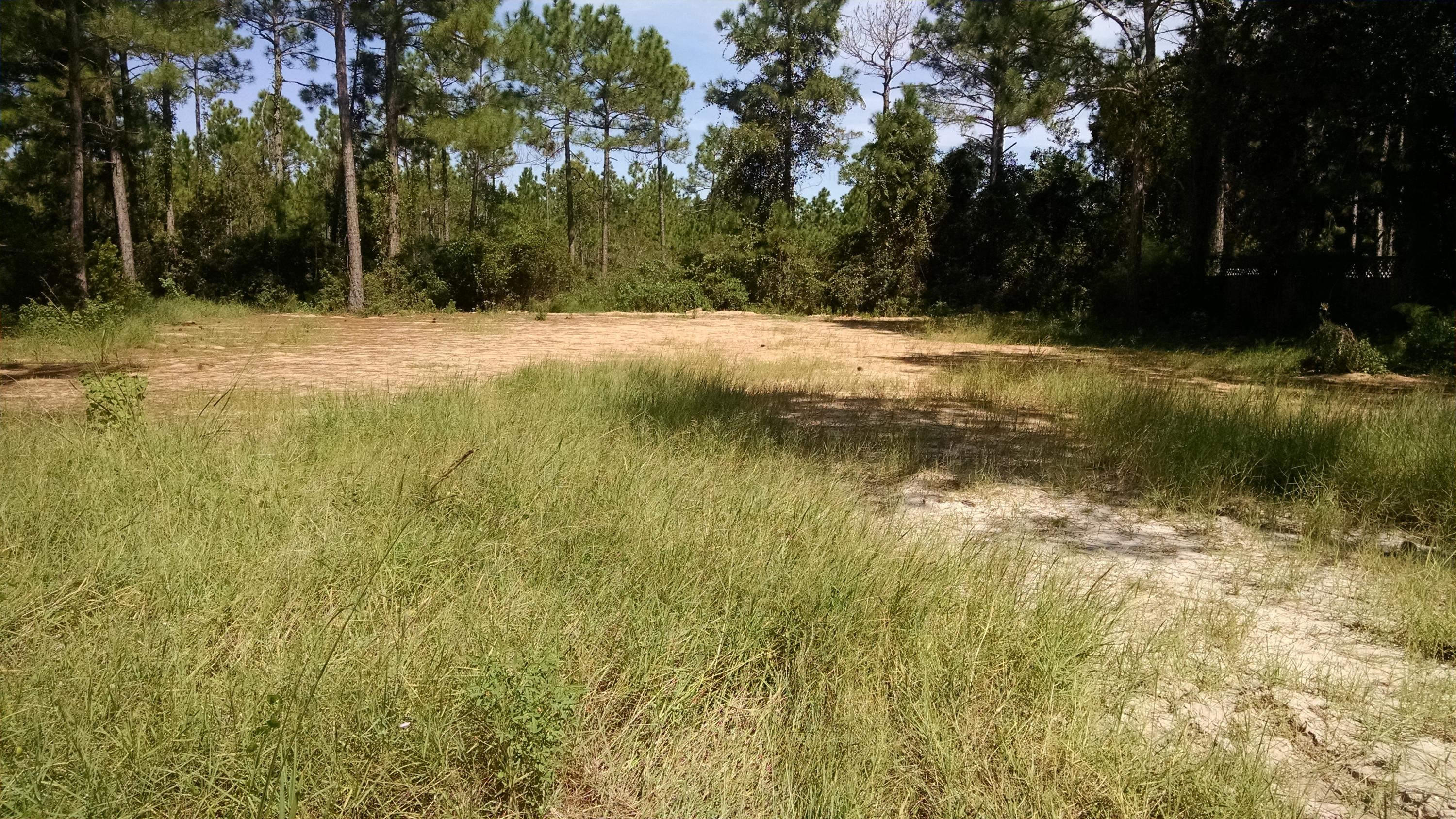 SANTA ROSA BEACH - Land