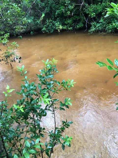 This lot is a beautiful lot measuring nearly 2 1/2 acres and it is waiting for you to make it your very own. You'll enjoy the quiet sounds of nature and the beautiful picturesque wooded setting of this creek front lot. Electricity is available along the dirt road. Call today!!