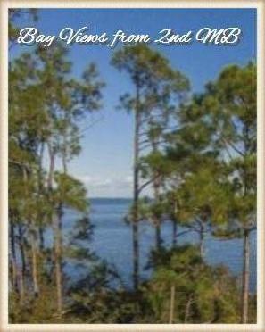 Pine Trace - Residential