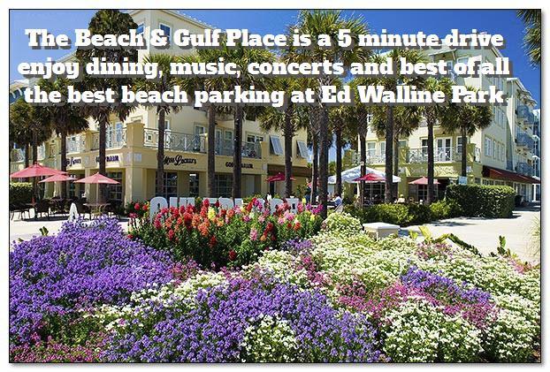 Pine Trace - Residential