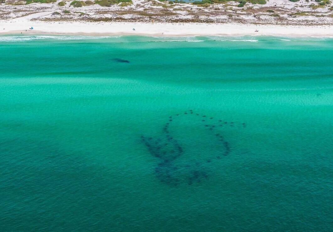 LUAU I - Residential