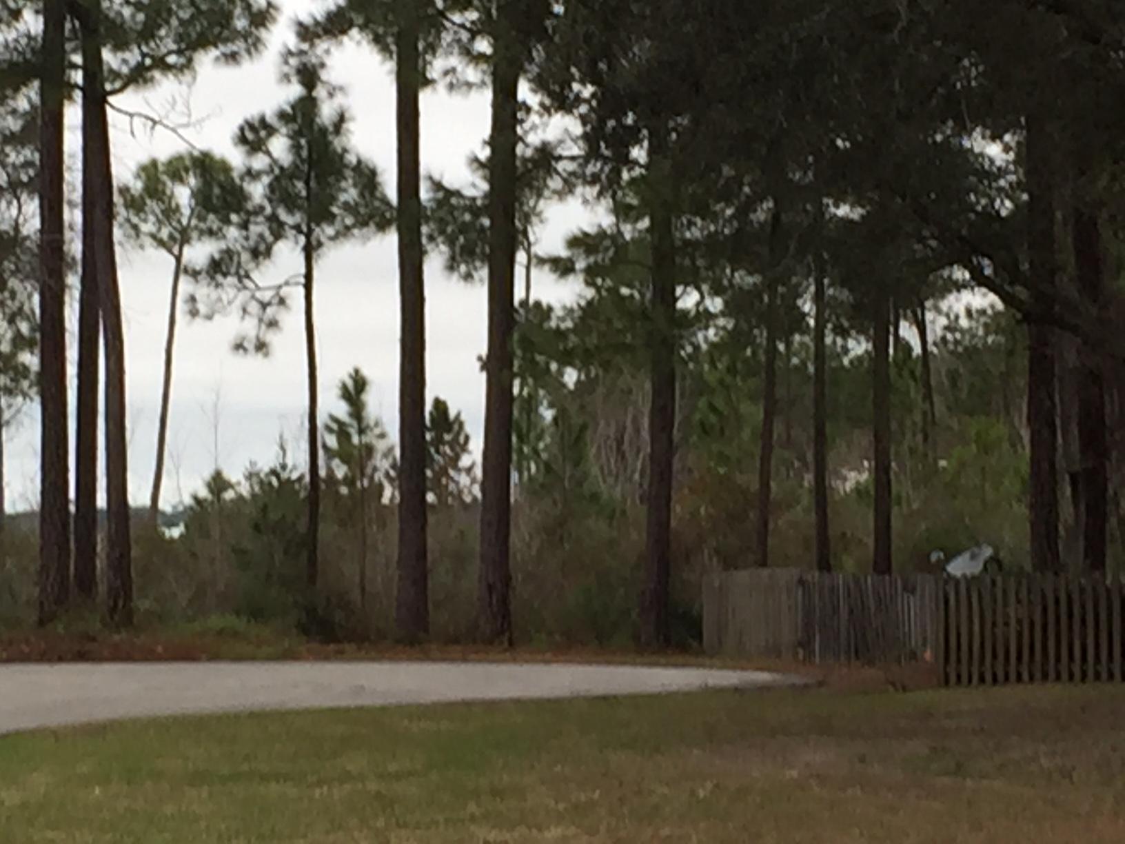 ST ANDREWS WEST BLUEWATER BAY 2 - Land