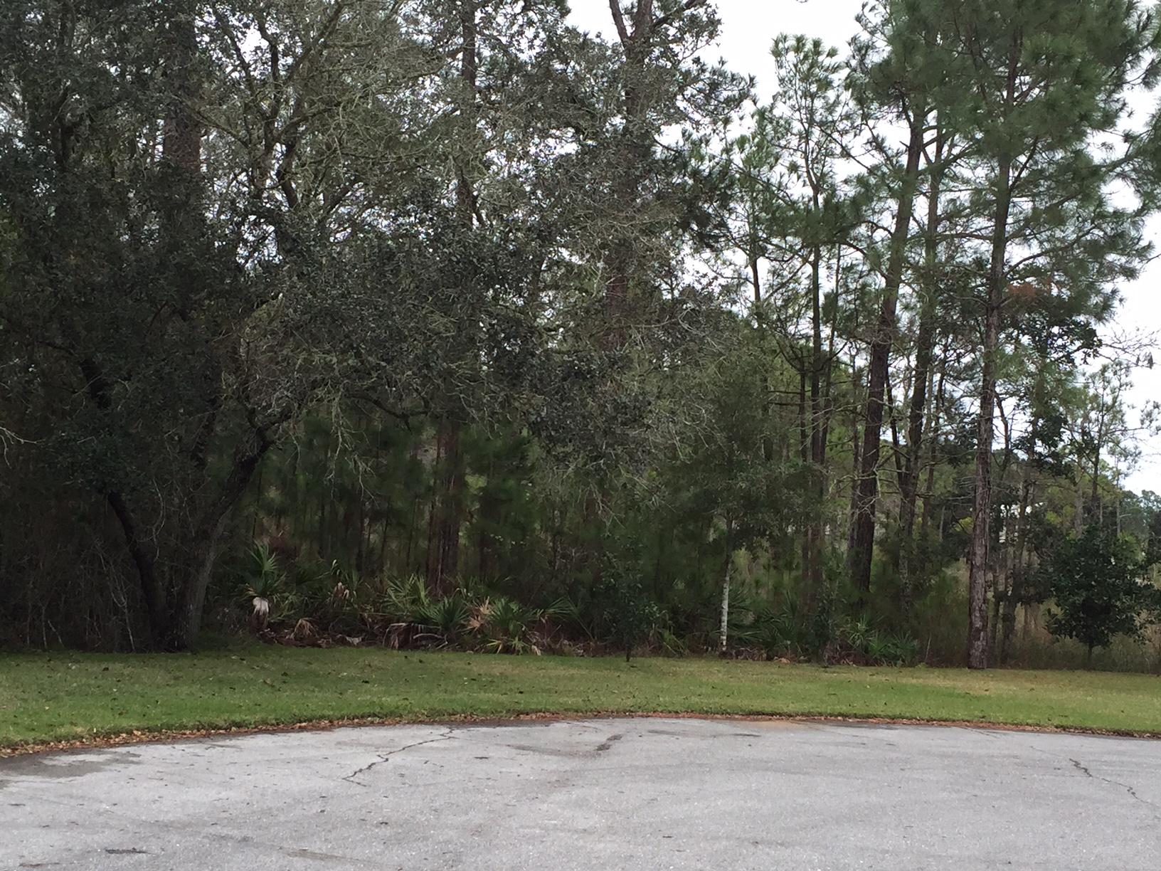 ST ANDREWS WEST BLUEWATER BAY 2 - Land