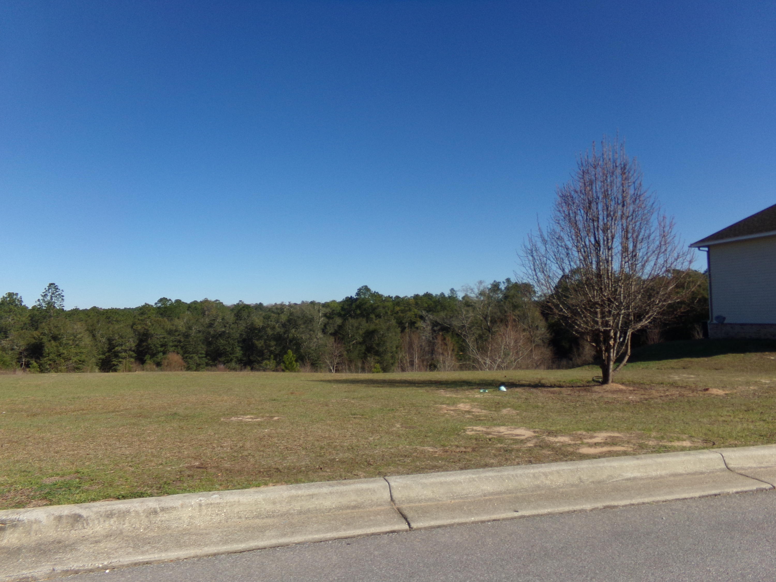 Arbor Lake Phase II - Residential