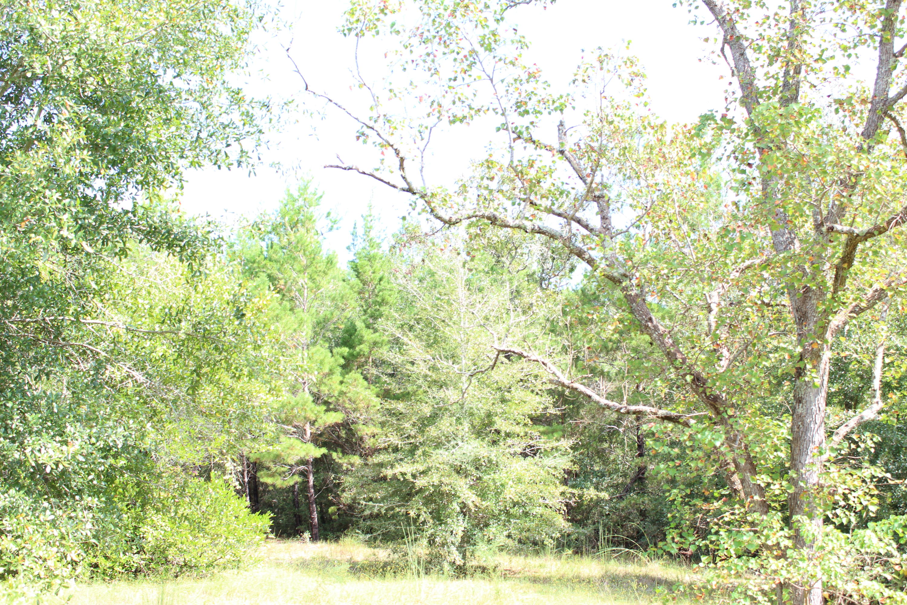 SPRING HILLS FARMS UNREC - Residential