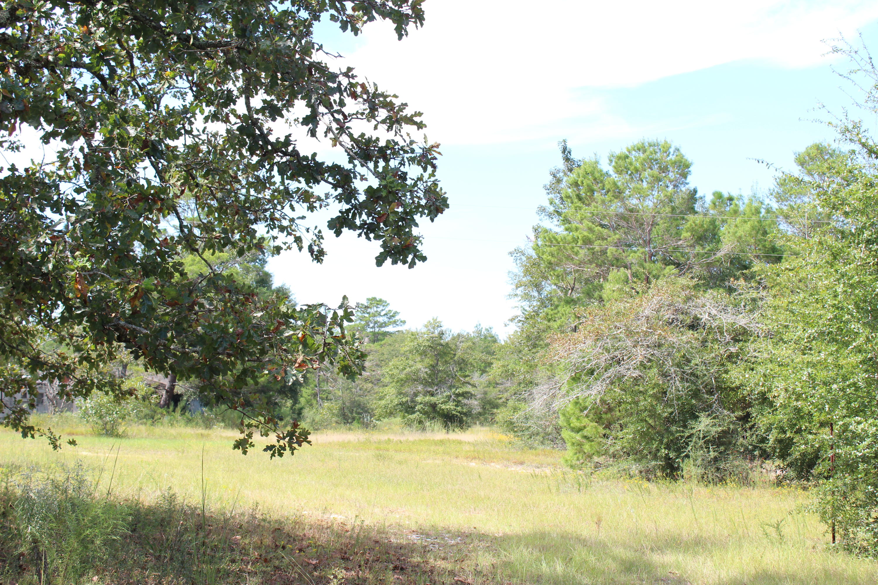 SPRING HILLS FARMS UNREC - Residential