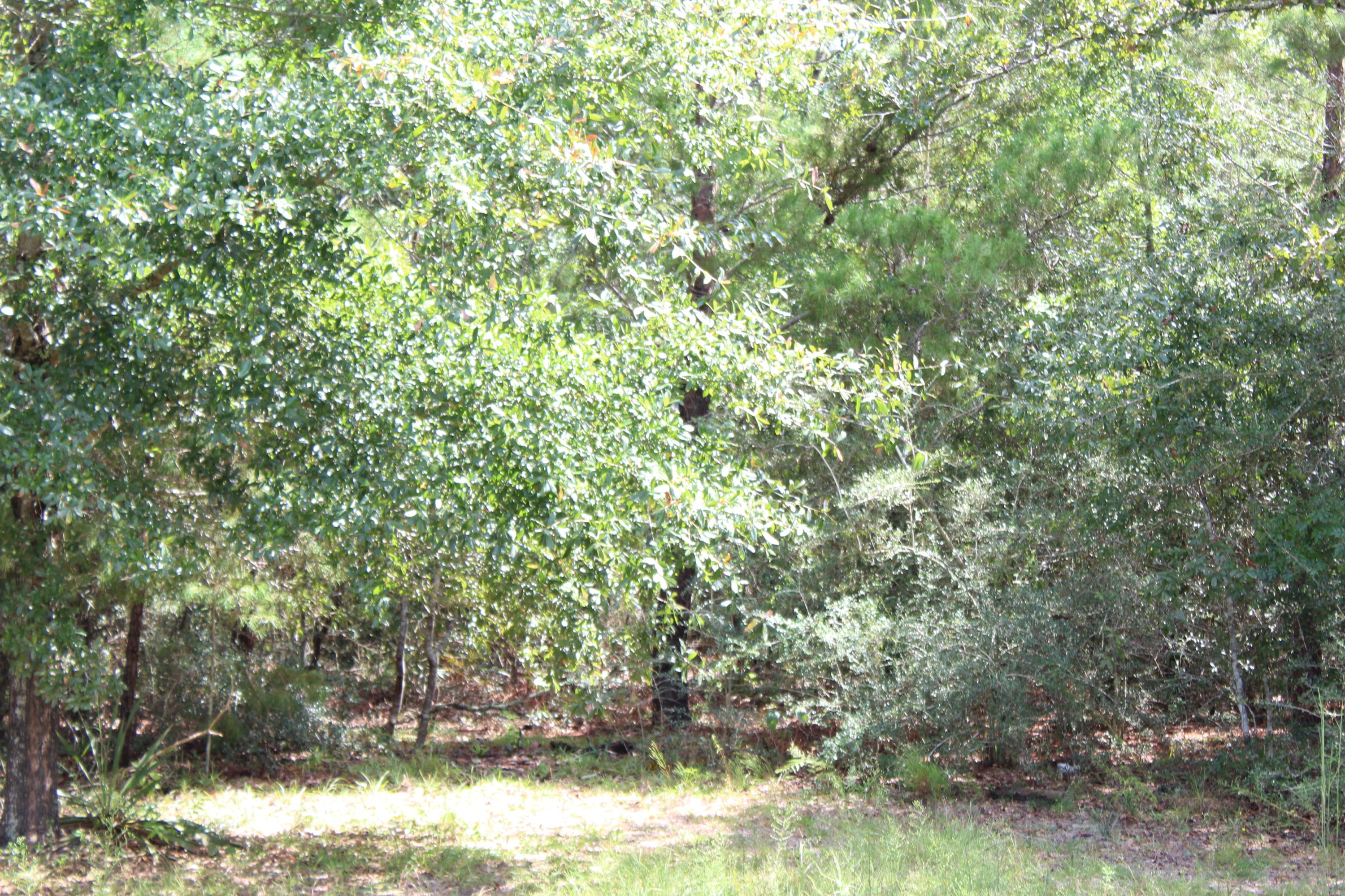 SPRING HILLS FARMS UNREC - Residential