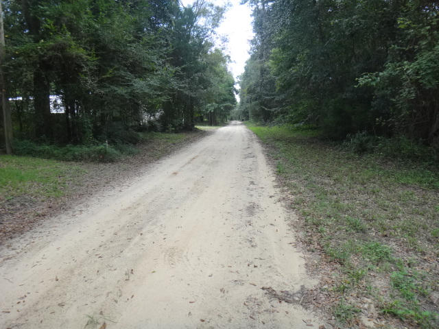 Wooded lot for a private getaway or fishing camp. Towering elevation over Choctawhatchee River, approx 60'+/-. ***Buyer is responsible for personally verifying details about this property. Any information contained in this listing is believed to be accurate but is not guaranteed.***