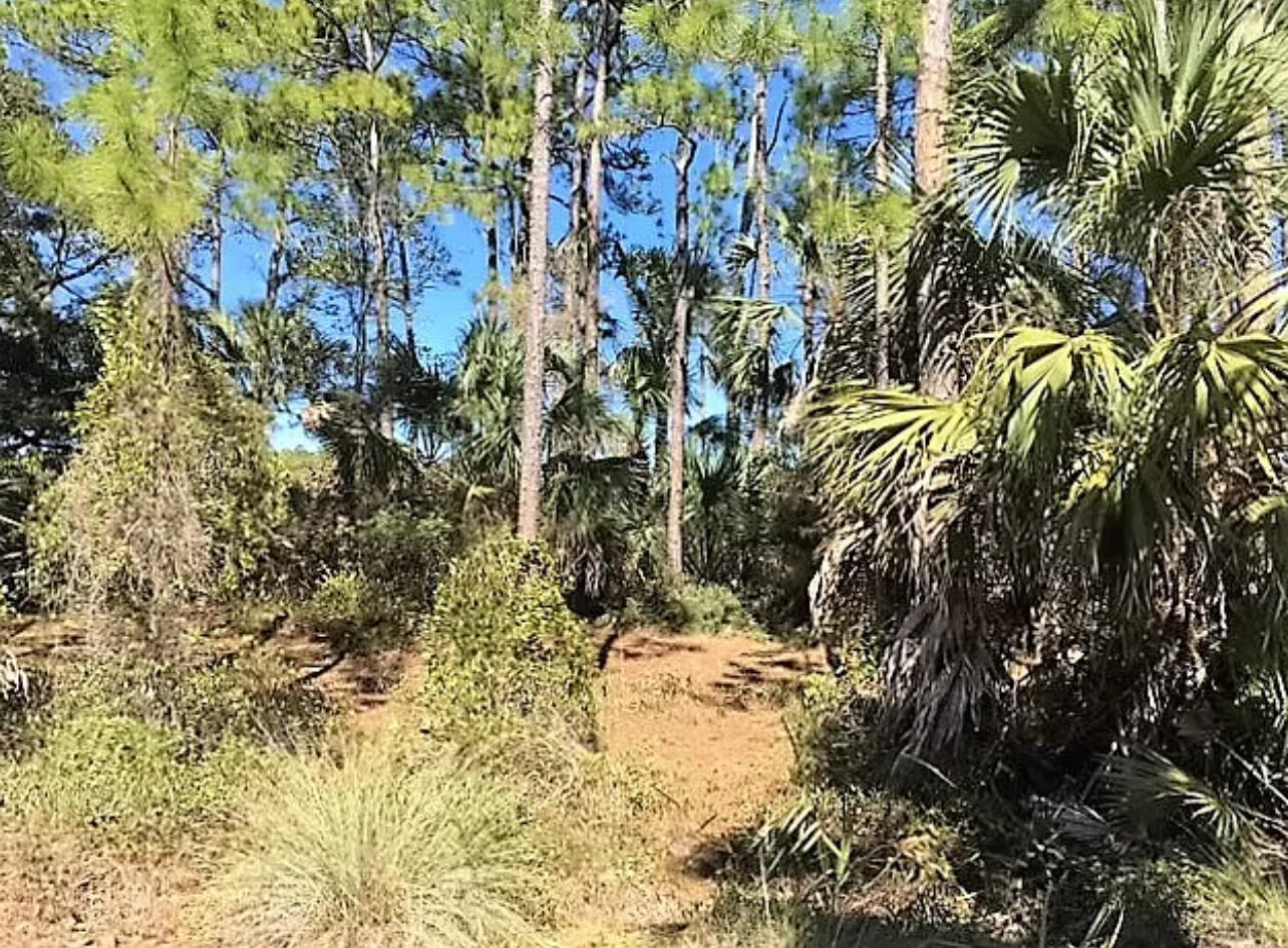 Cottages at Indian Summer - Land
