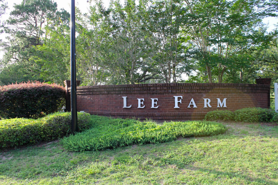 LEE FARMS PH III - Residential