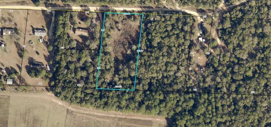 Great 2 ac parcel level and ready to be cleared for your new home. Mobile homes welcome! Survey Available. Come and look today!