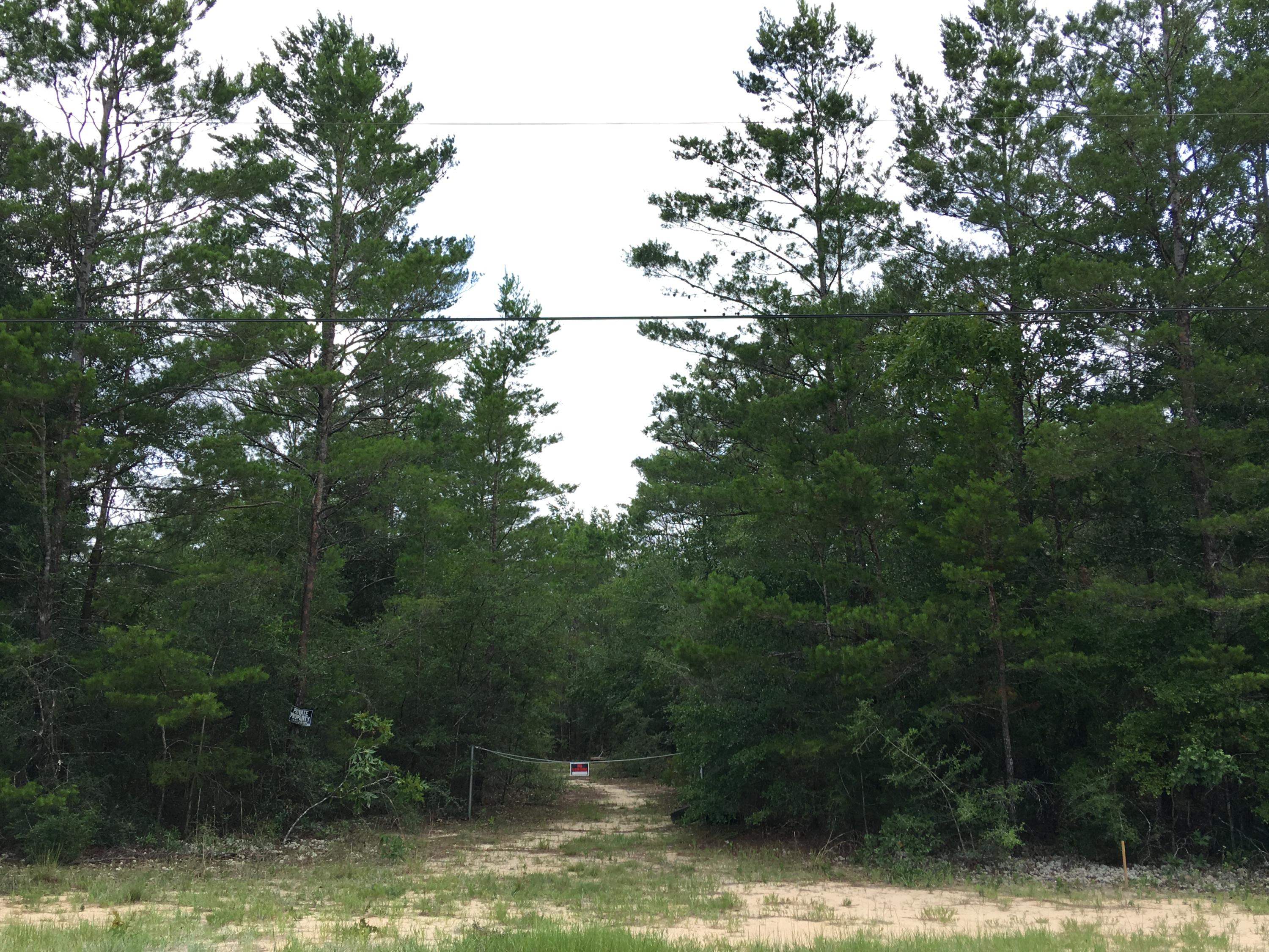 Back on the market and ready for your new home! Survey and perc test are done! This beautiful 4.3 acres is filled with oaks, pine, palmettos, and more. There are several nice sites for a home, with walking trails throughout. Manufactured homes are permitted. Located in Mossy Head, it's convenient to DeFuniak Springs, Niceville, and Crestview, with quick access to I-10, Hwy 90, and Hwy 285. You can't beat the peace and quiet, convenient location, and low property taxes in Walton County! Seller has a recent survey and perc test, as well as a quote of $650 for underground electrical service from the road to the building site. Close to the great shopping, dining, and sugar sand beaches of the Emerald Coast whenever you're ready for a daycation!