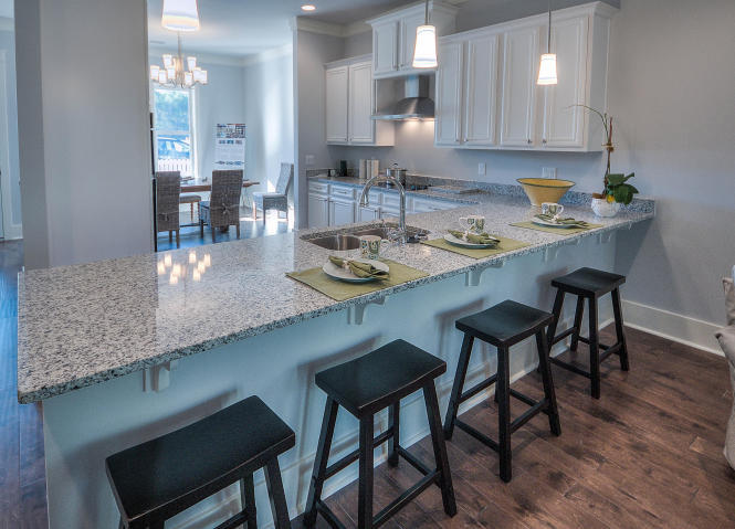 Paradise Cove - Residential