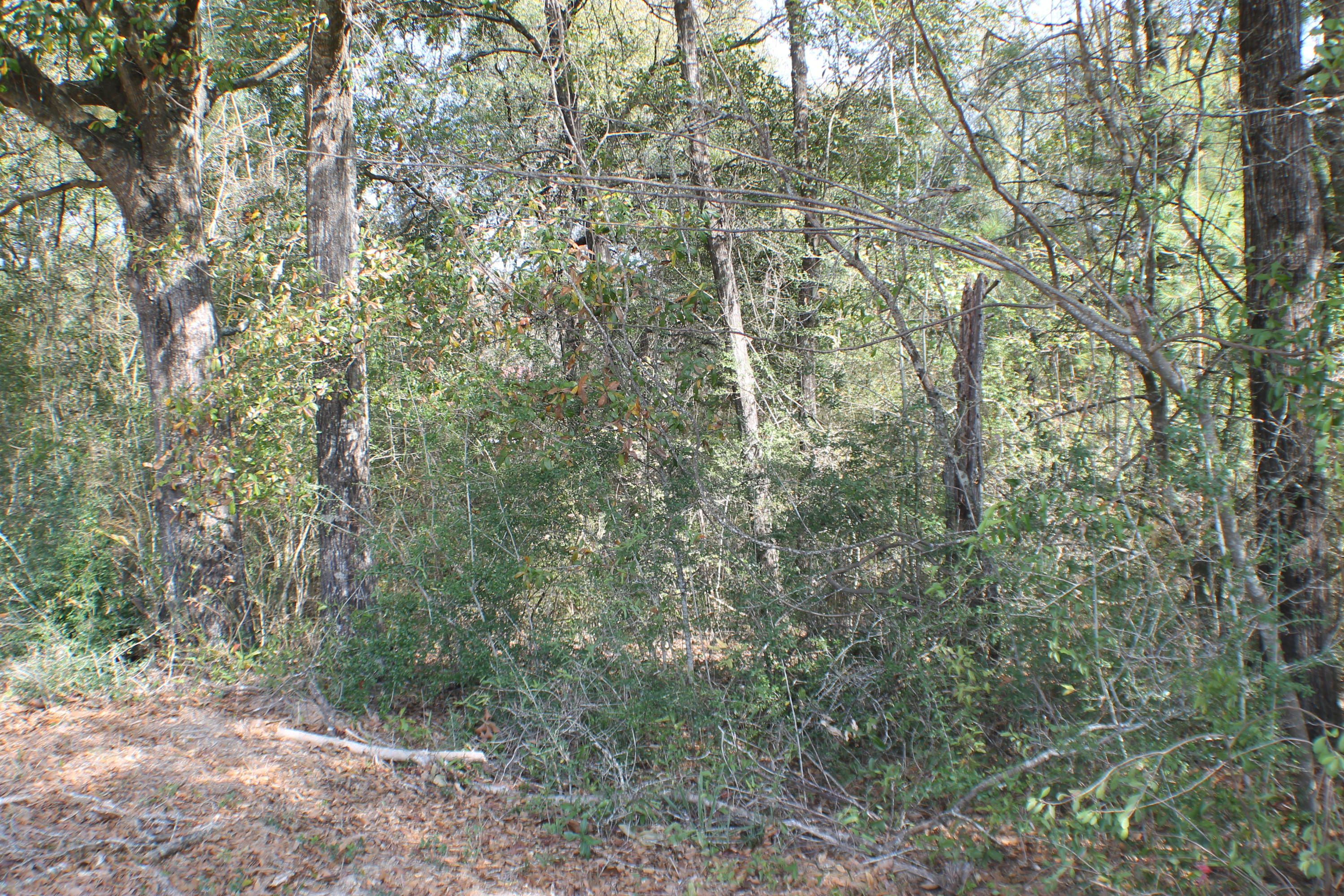 METES & BOUNDS - Land