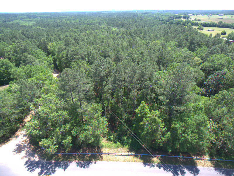 19.15 acres of timber and wildlife is available. This undeveloped property is only minutes to Downtown Baker or Crestview. The property is heavily timbered but no timber cruise has been done yet. There is a gully running through the center of the land which could provide for great animal habitat or a unique home site. As this area runs out of large tracts of land this should be considered a closer look at this price. Buy as an investment, a place to get away in minutes or a location of your dream home in the woods