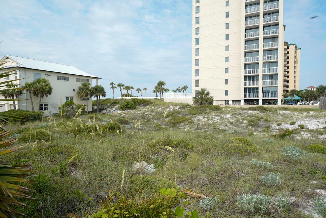 Gulf Pines - Land
