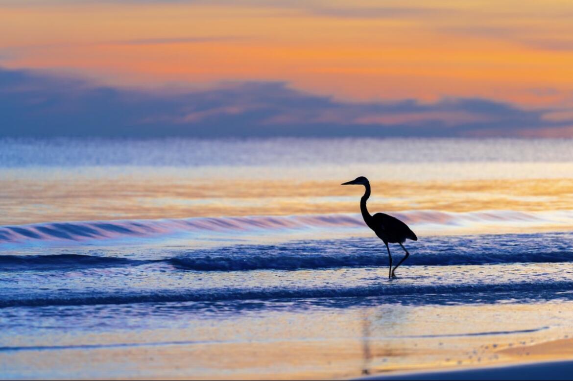 Gulf Pines - Land