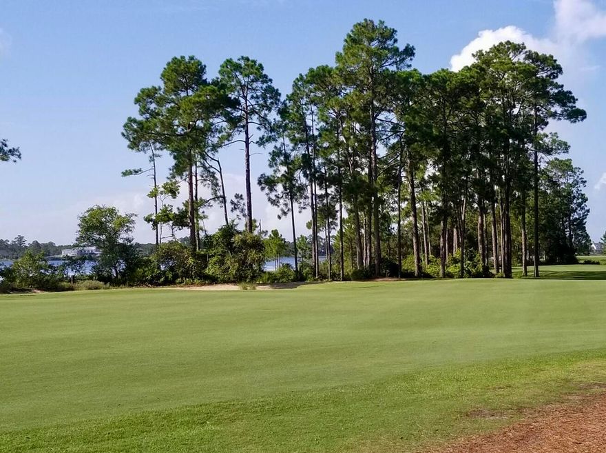 Ready for your dream home!  This beautiful cul-de-sac lot overlooks both the 6th fairway of Sharks Tooth Golf Course and Lake Powell.  The gated community of Wild Heron is a 734 acre coastal sanctuary located on the shores of Lake Powell.  At approximately 767 acres, Lake Powell is the largest coastal dune lake in Florida and has been designated as a 'Pristine Florida Waterway'.  Wild Heron is the home of the Greg Norman designed Sharks Tooth Golf Course and *Hydrocourt Tennis Courts.  This community is filled with the lifestyle you are looking for with amenities including a heated pool, hot tub, a lakeside boardwalk, and a majestic oak-filled family park. In addition, the lakefront Boathouse and gathering place is well stocked with kayaks and canoes. Wild Heron is minutes away from Ready for your dream home!  This beautiful cul-de-sac lot overlooks both the 6th fairway of Sharks Tooth Golf Course and Lake Powell.  The gated community of Wild Heron is a 734 acre coastal sanctuary located on the shores of Lake Powell.  At approximately 767 acres, Lake Powell is the largest coastal dune lake in Florida and has been designated as a "Pristine Florida Waterway".  

Wild Heron is the home of the Greg Norman designed Sharks Tooth Golf Course and *Hydrocourt Tennis Courts.  This community is filled with the lifestyle you are looking for with amenities including a heated pool and hot tub, a lakeside boardwalk, and a majestic oak-filled family park. In addition, the lakefront Boathouse and gathering place is well stocked with kayaks and canoes. 

Wild Heron is minutes away from the white sandy beaches of the Gulf of Mexico and a short drive to world class shopping and dining of Rosemary Beach, Alys Beach and the rest of 30A as well Pier Park in Panama City Beach.
